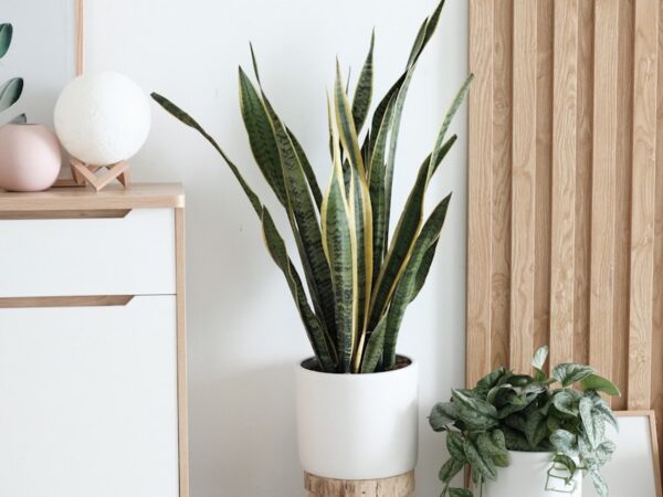 Taklampa, rattan, naturbeige